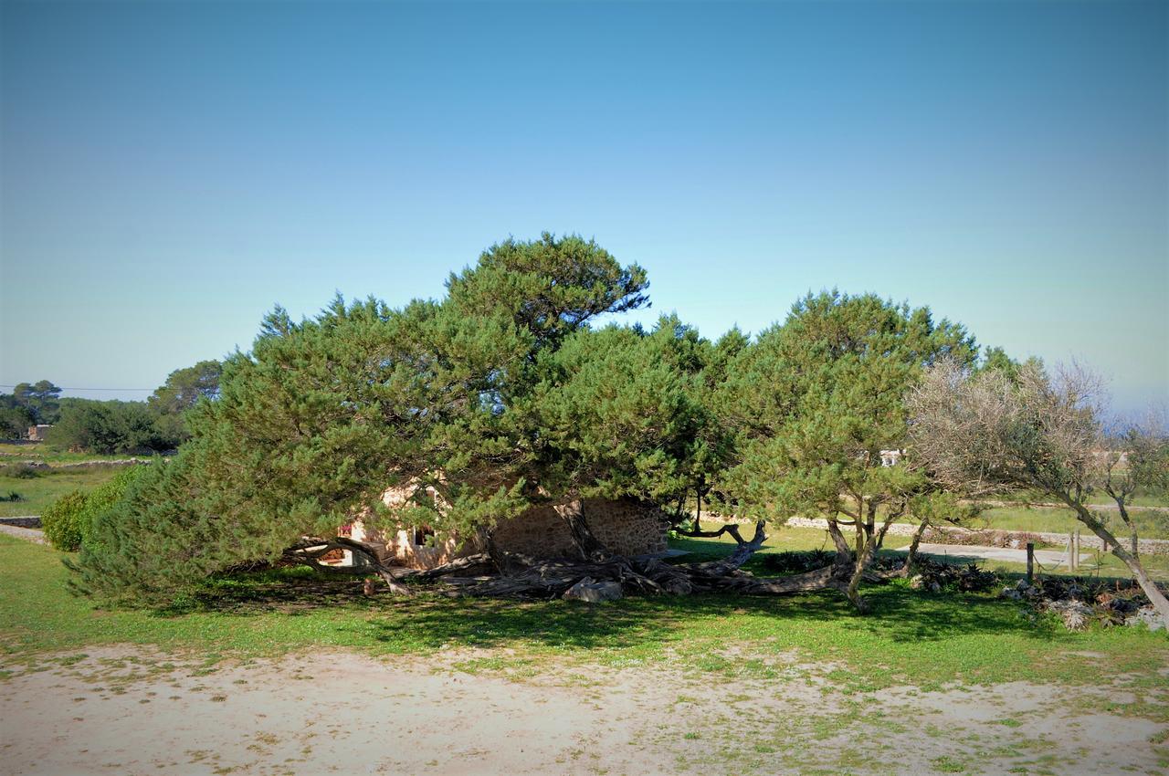 Siamoformentera Bella Villa San Francisco Javier ภายนอก รูปภาพ